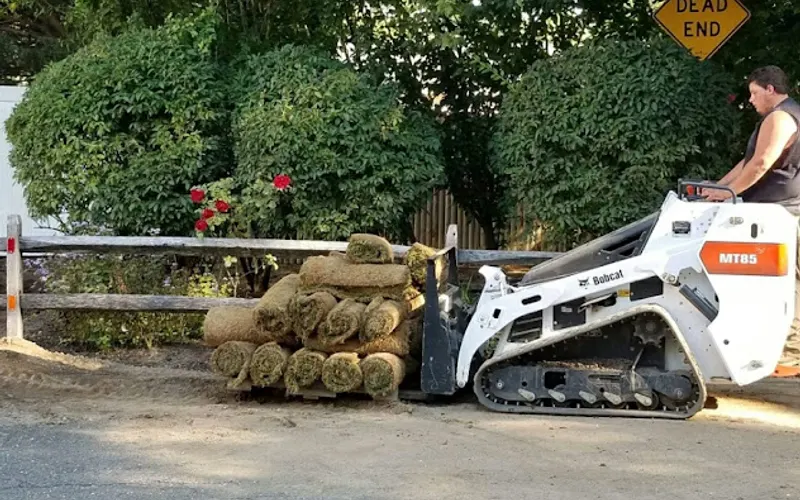 BONGIORNOS LONG ISLAND SOD — Sod supplier