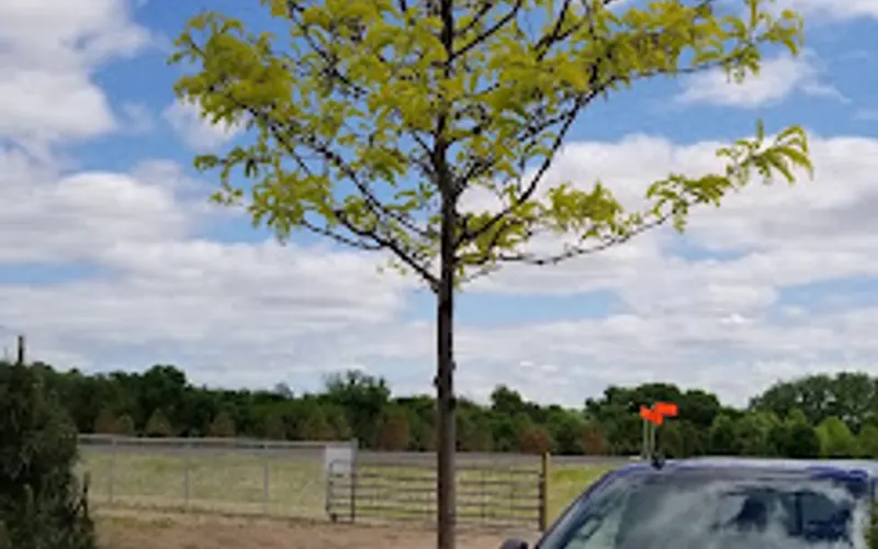 Minnesota Valley Garden Center — Garden center
