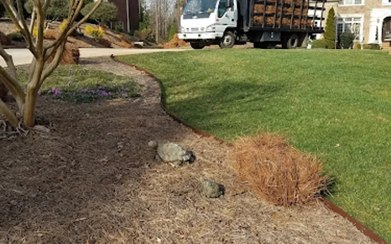 JJ Pine Needles — Mulch supplier