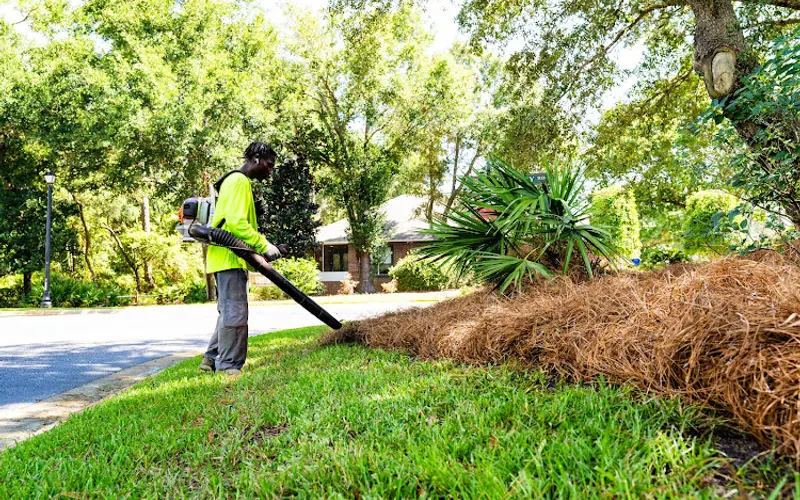 Luckies Pinestraw Pensacola — Landscaper