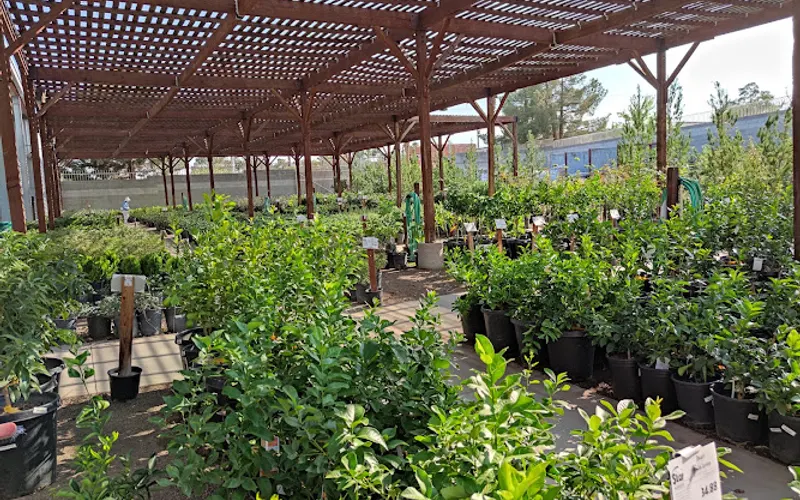 Star Nursery Garden Center — Landscaping supply store
