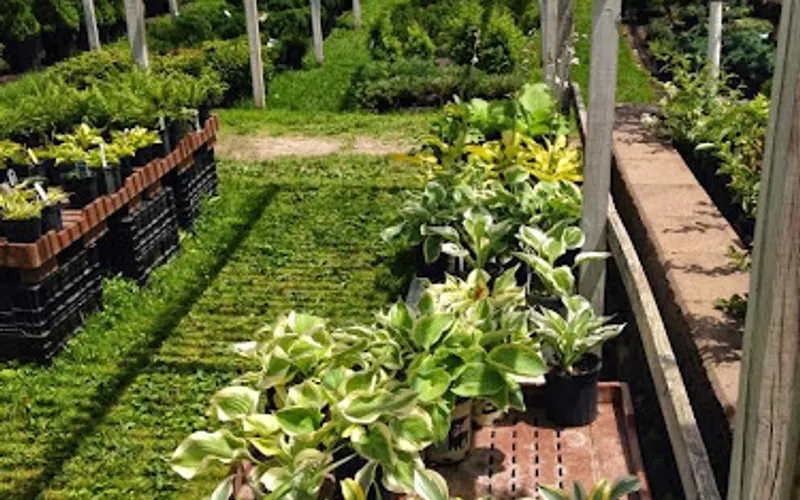 Meyers Nursery — Plant nursery