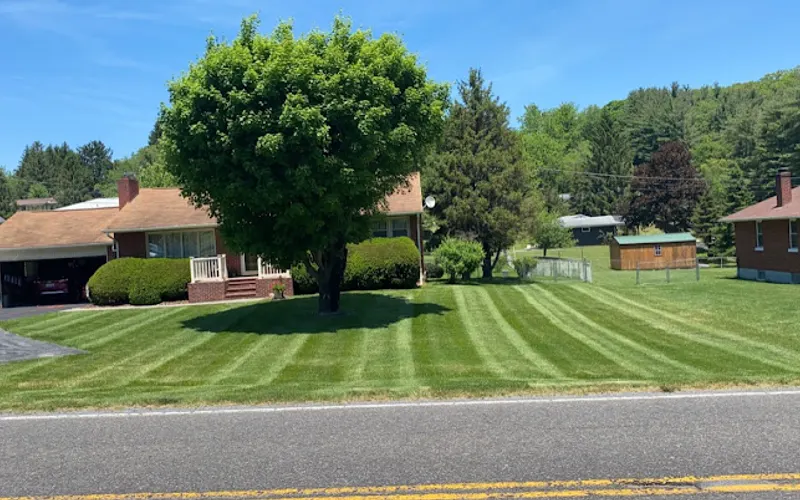 Halls landscaping & snow removal — Landscaper