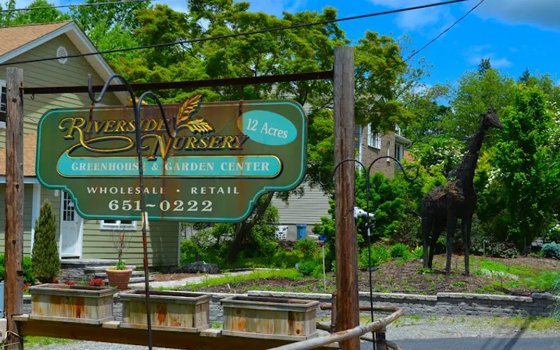 Riverside Nursery — attractions