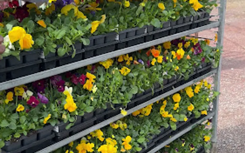 Maplewood landscape supply — Landscaping supply store