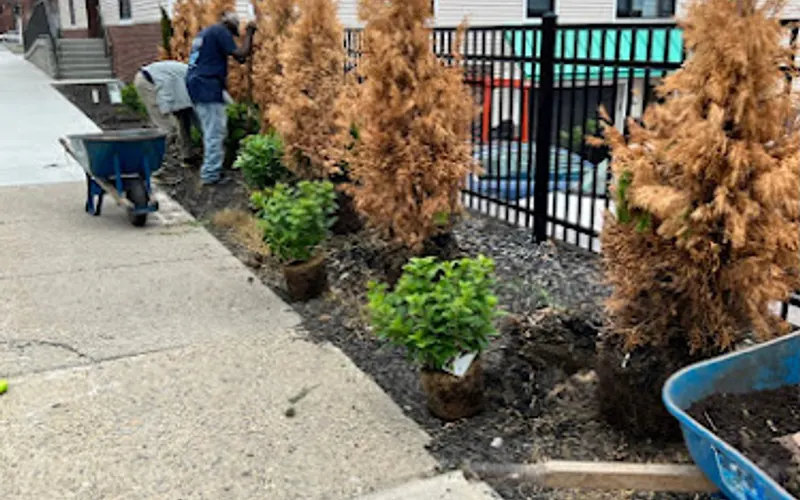 Brennan Landscaping Inc. — Lawn care service