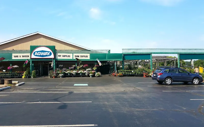 Agway Wild Birding Center — Hobby store