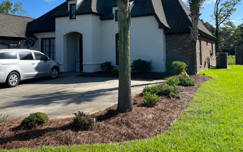 Mowmentum Lawn Care llc — Lawn care service
