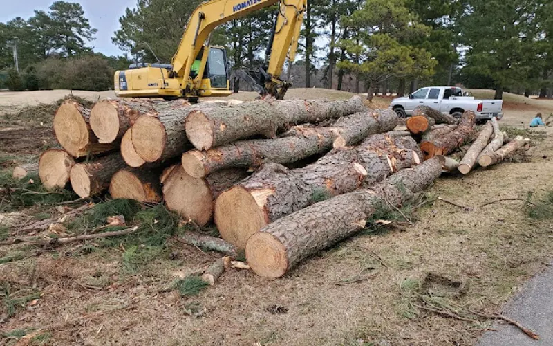 Jones Curb Appeal — Tree service
