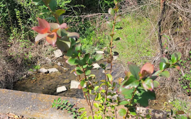 Mena Stone & Landscaping Supply — General contractor