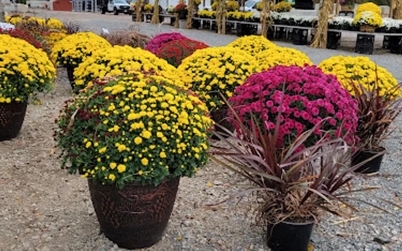 Route 202 Landscape Supply & Farmers Market — Topsoil supplier