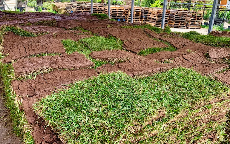 290 Grass LLC — Topsoil supplier