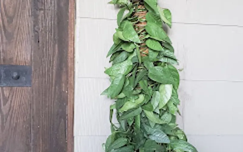Kelp4less — Garden center