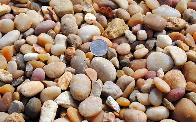 Tracy's Sand & Gravel — Landscaping supply store