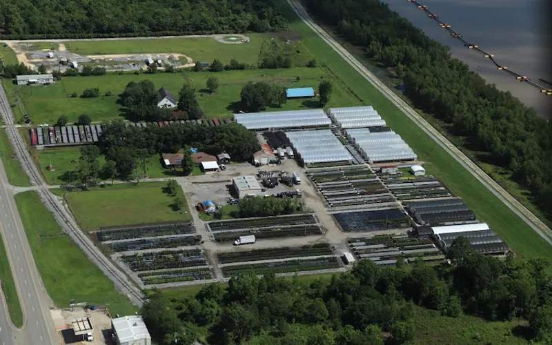 Langridge Plant Sales, Inc. — Plant nursery