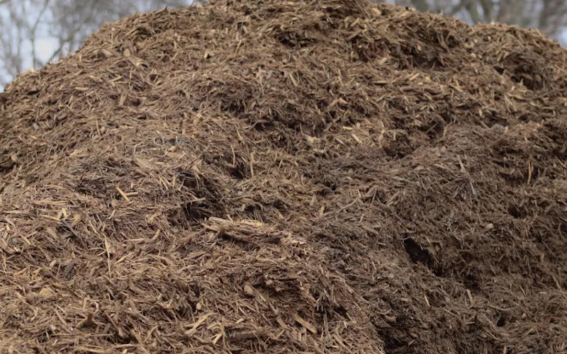 Seasonal Services Garden Center & Landscape Supply — Garden center