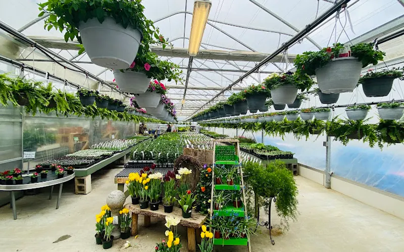 Maplewood Farm Market — Garden center