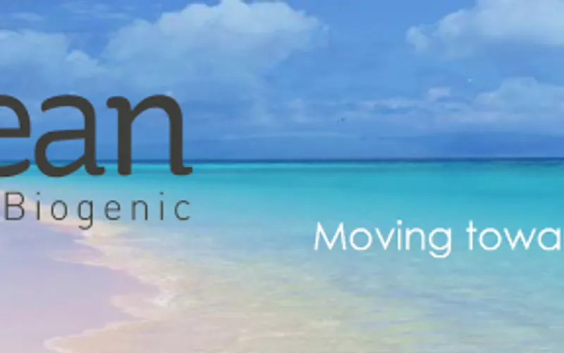 Calcean Minerals and Materials LLC — Environment renewable natural resources
