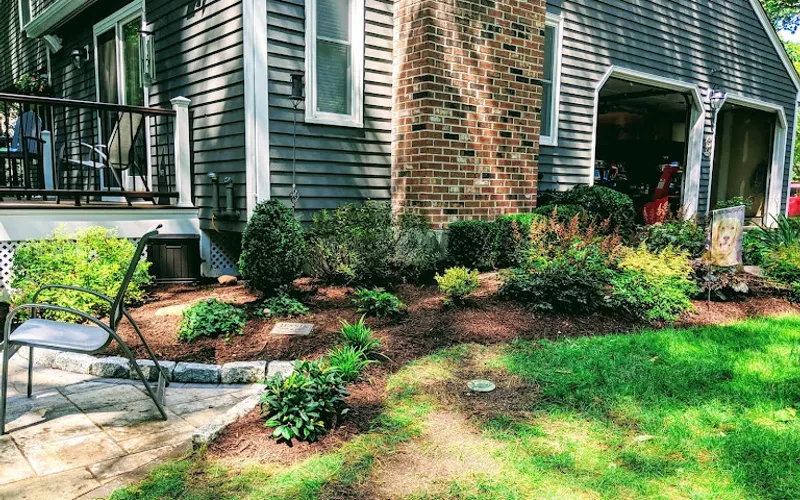 Modern Scapes — Landscape designer