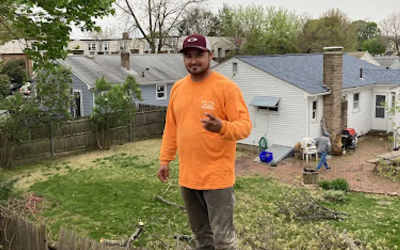 Optimus Tree Service and Landscaping — Tree service