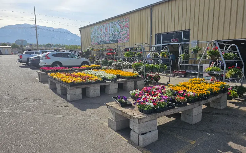Cook's Farm & Greenhouse — Garden center