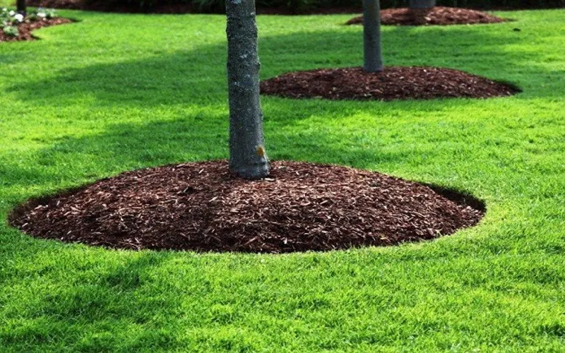 Metts Landscape Supply — Landscaping supply store