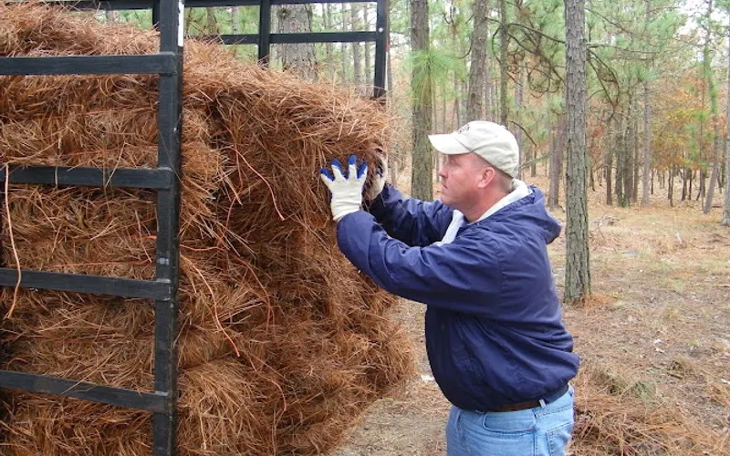 McManus Farms, Inc. — Landscaping supply store