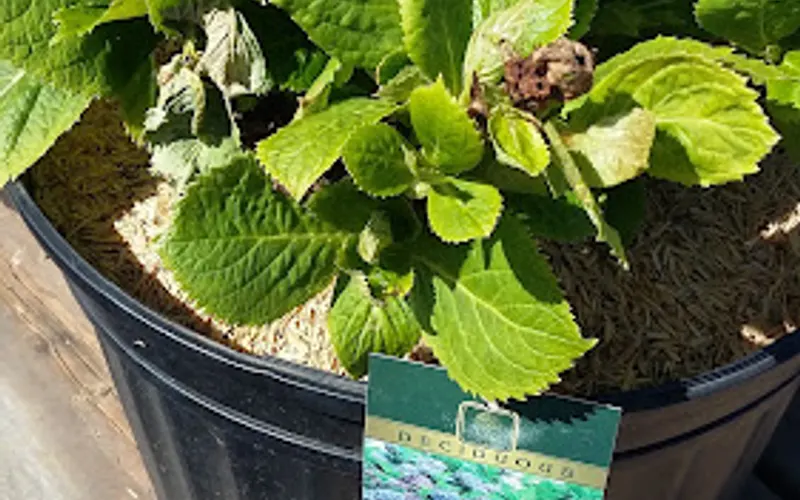 Wharton Landscape Supplies — Landscaping supply store
