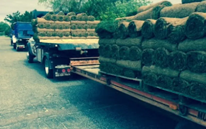 Steve's Landscaping, LLC — Landscaper