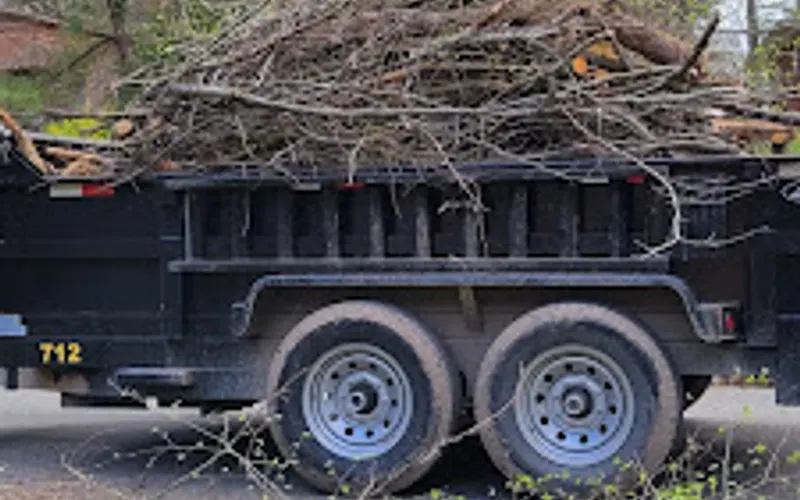 Green landscape and Tree removal llc — Agricultural service