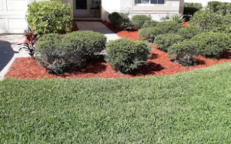 Young Acres Sod — Sod supplier