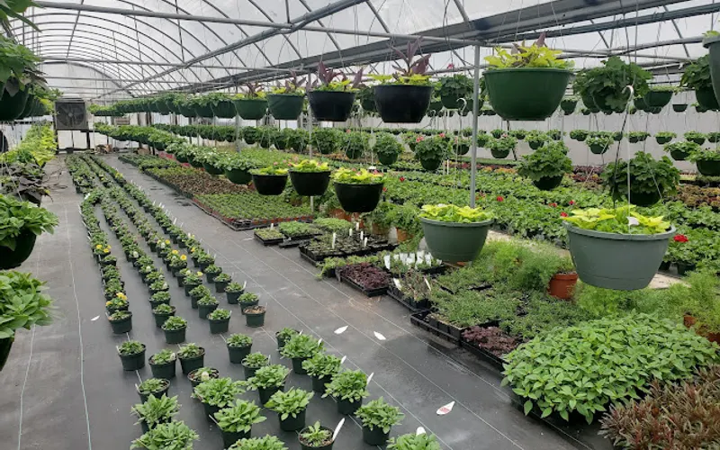 Ladybug Greenhouse — Garden center