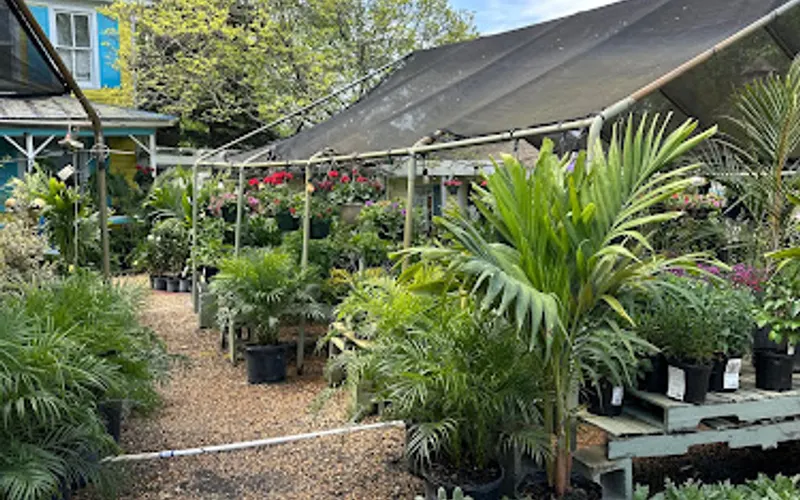 River Birch Nursery and Landscaping — Landscaper