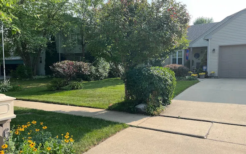 Savvy Lawn Care Service — Lawn care service