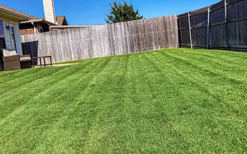 Tovar's Lawn Care Service — Lawn care service