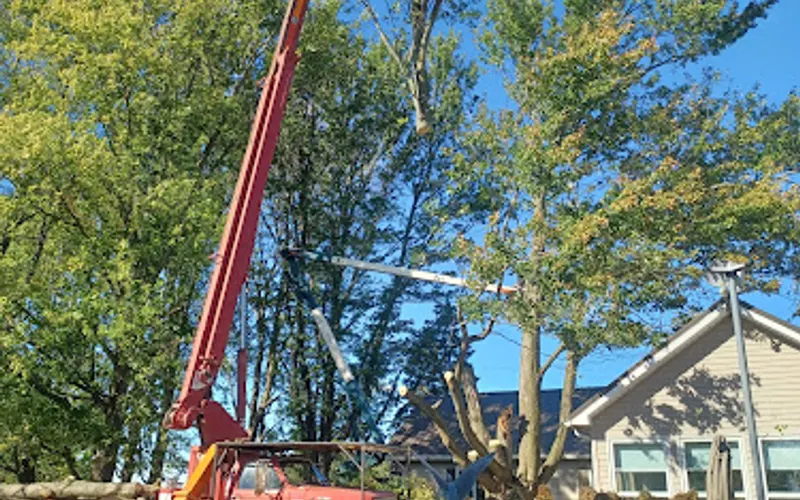 T & J Excavating and Tree Clearing, LLC — Tree service