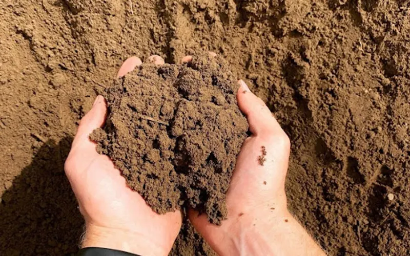 J.F. Krantz Topsoil & Nursery Inc. — Topsoil supplier