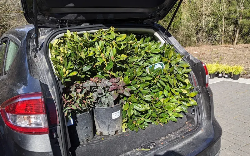 JB Instant Lawn — Sod supplier