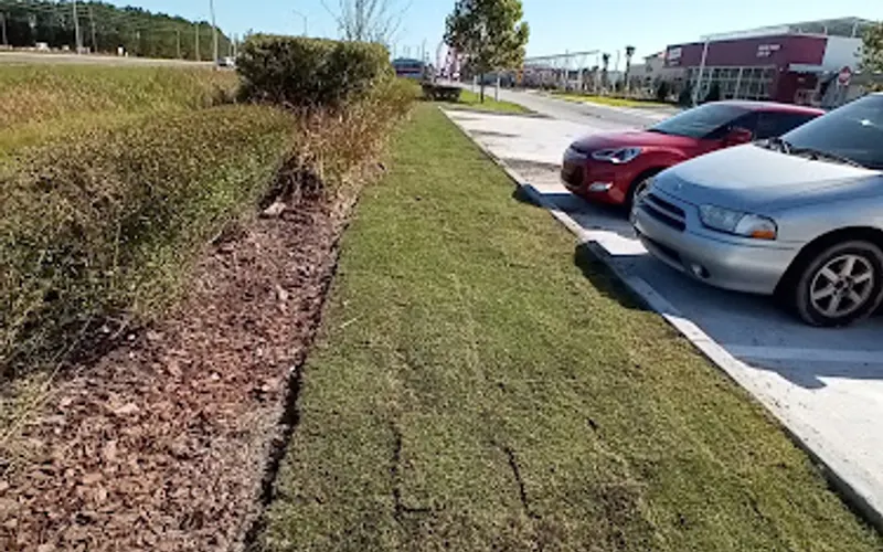 Gladiator Sod — Landscaping supply store
