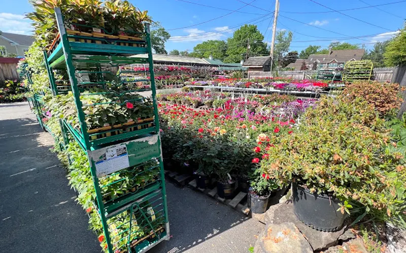 Twinbrook Farms — Garden center