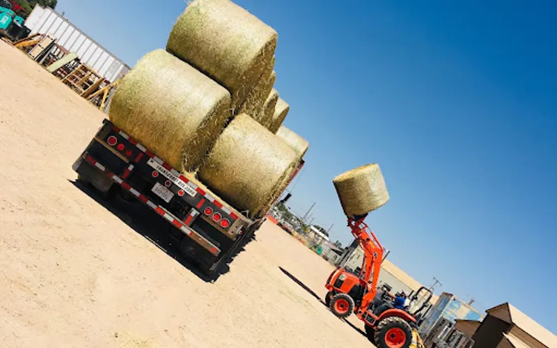 Shorty's Rental and Feed — Animal feed store