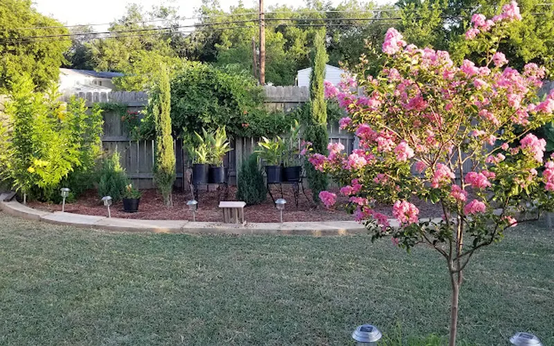Garcia's Tree Sales — Plant nursery