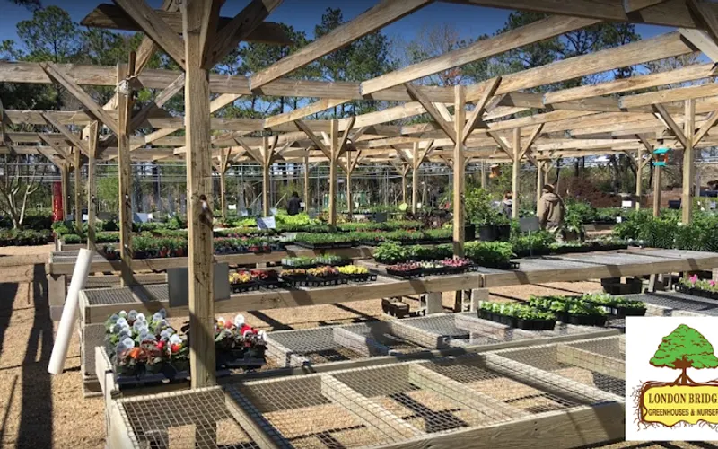 London Bridge Greenhouses & Nursery — Landscaper