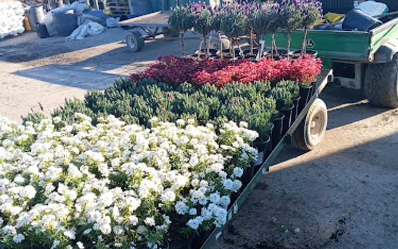 Grover Ornamental Nursery — Landscaper