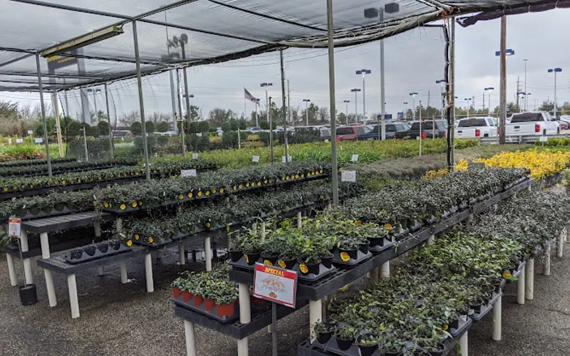 Houston Garden Centers — Garden center