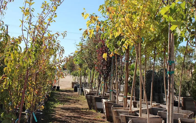 Cal Herbold's Nursery — Plant nursery