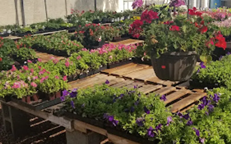 A & P Nursery — Plant nursery