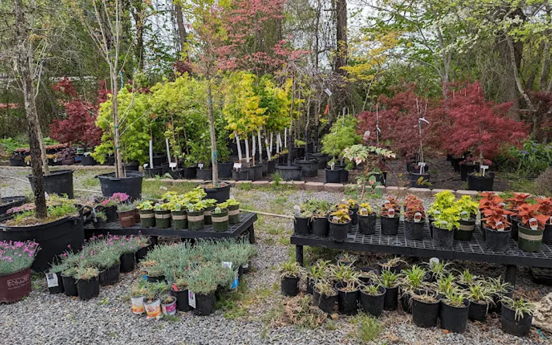 Country Gardens Nursery and Landscape — Landscaper