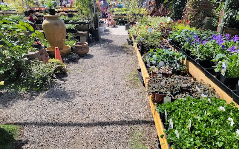 Terra Sol Garden Center — Garden center