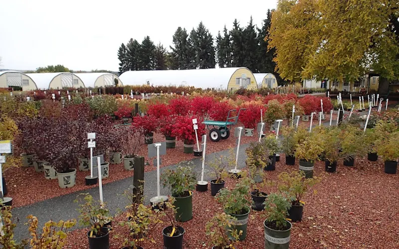 Billings Nursery & Landscaping — Landscaper